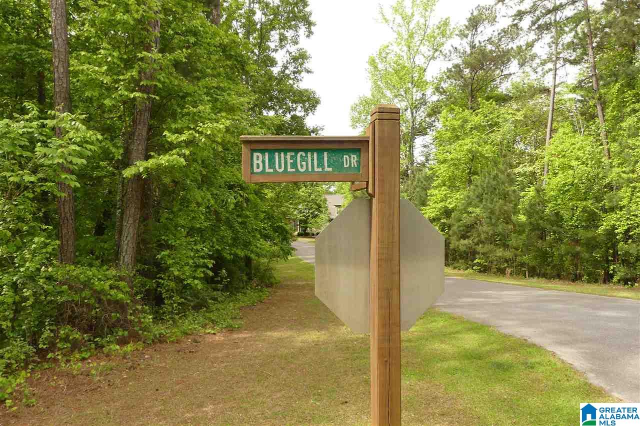 Lot 8 Bluegill Drive, Unit 8 Wedowee, AL 36278 - Photo 7 of 10