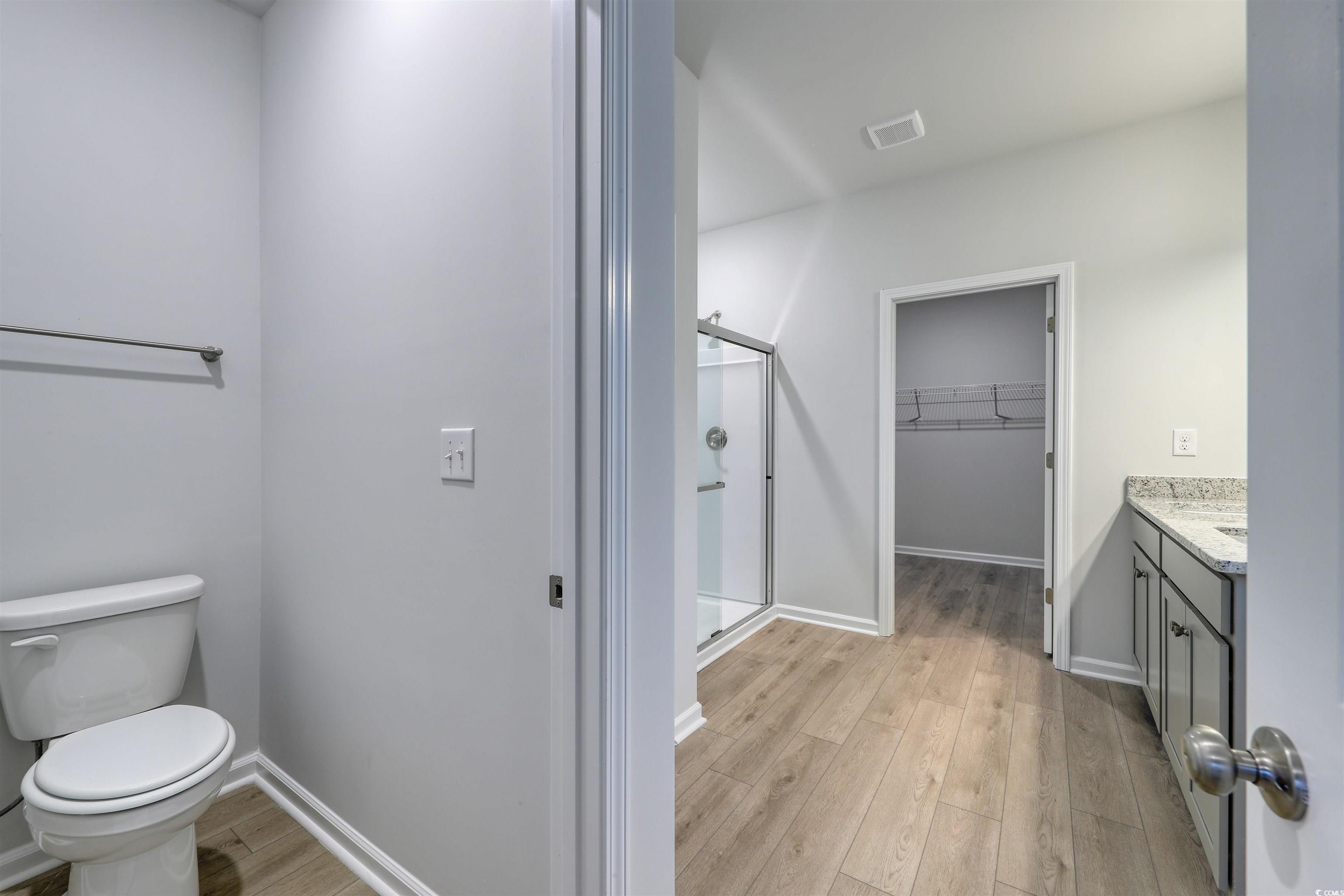 370 Garden Grove Street Conway, SC 29526 - Photo 18 of 28 Bathroom featuring a walk in closet, light wood-style flooring, vanity, and a stall shower