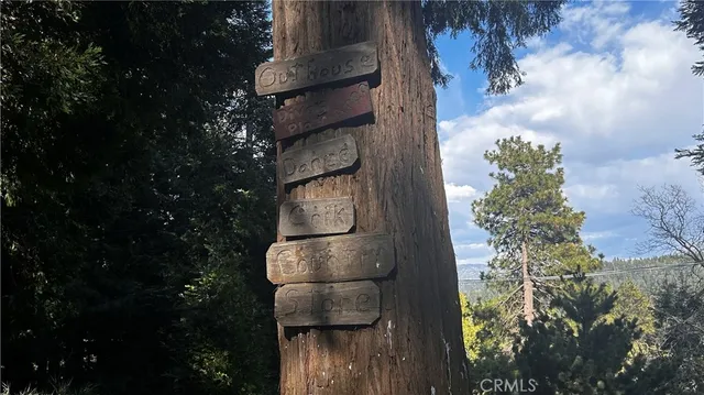 $5,000 | 26316 Highway 189, Twin Peaks, CA 92391