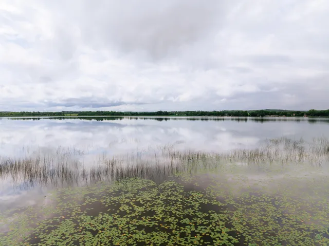 $535,000 | 30213 Duckweed Drive, Burtrum, MN 56318