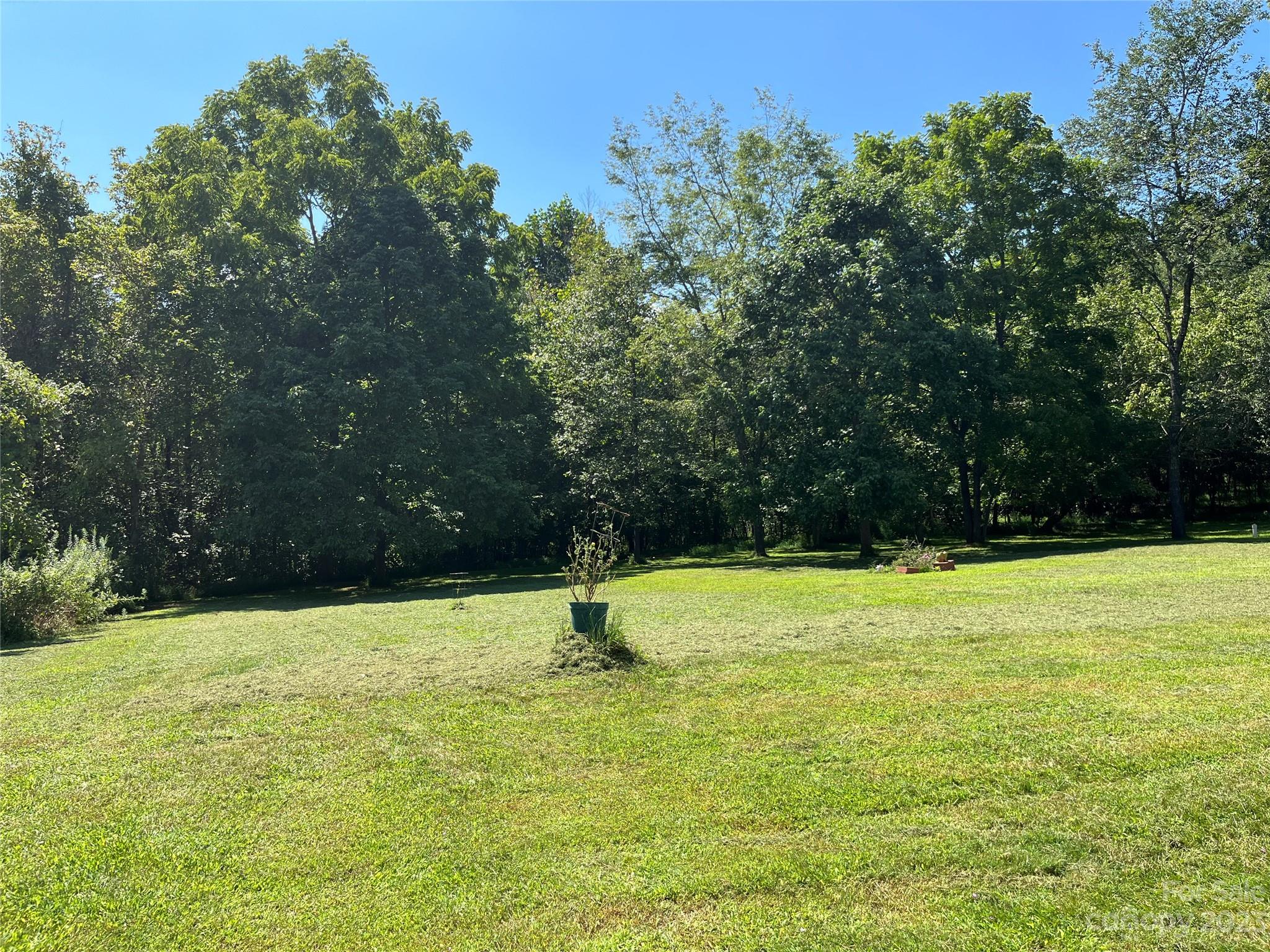 111 Hoyle Street Morganton, NC 28655 - Photo 30 of 30 a view of a yard with a tree