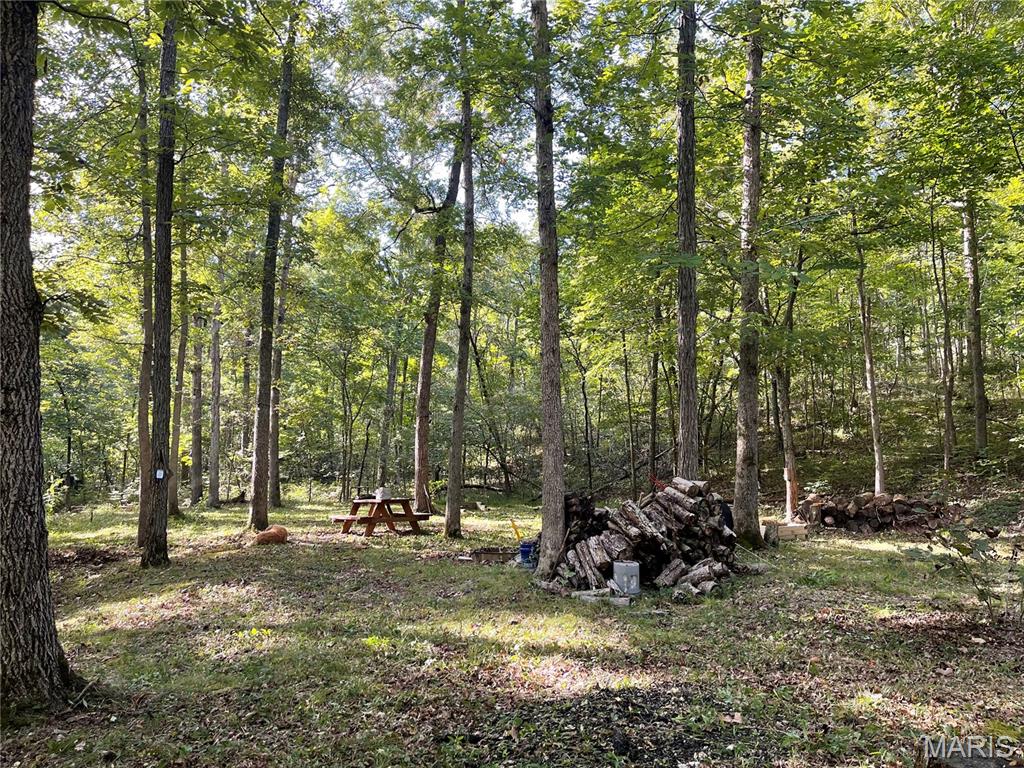 266 Grand Oaks Road Sullivan, MO 63080 - Photo 96 of 98 Gallery Image 96