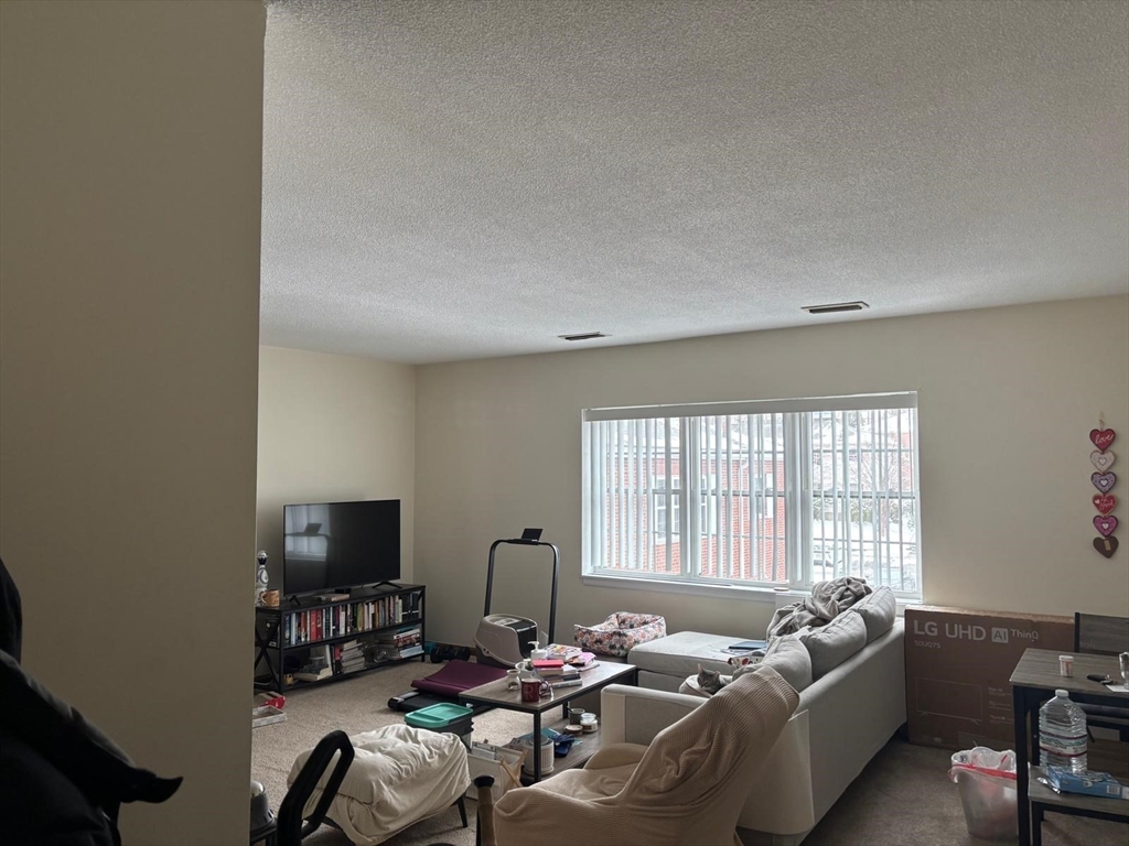 125 Lake Shore Road, Unit 4 Boston, MA 02135 - Photo 7 of 9 a living room with furniture and a flat screen tv