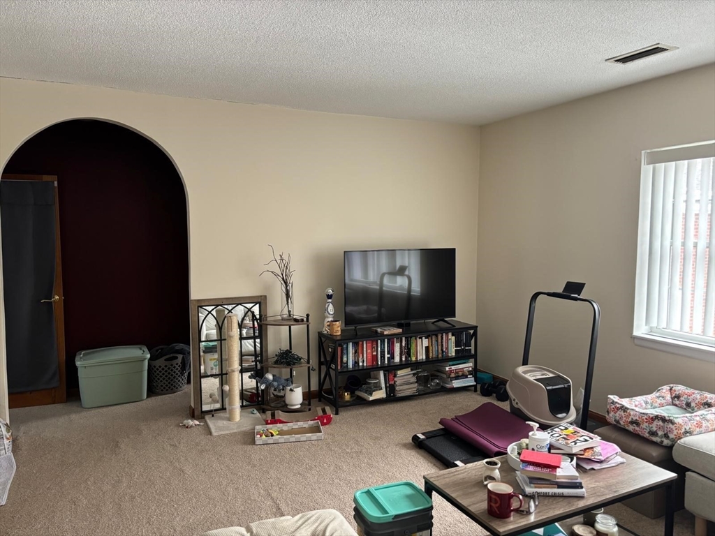 125 Lake Shore Road, Unit 4 Boston, MA 02135 - Photo 8 of 9 a living room with furniture and a flat screen tv