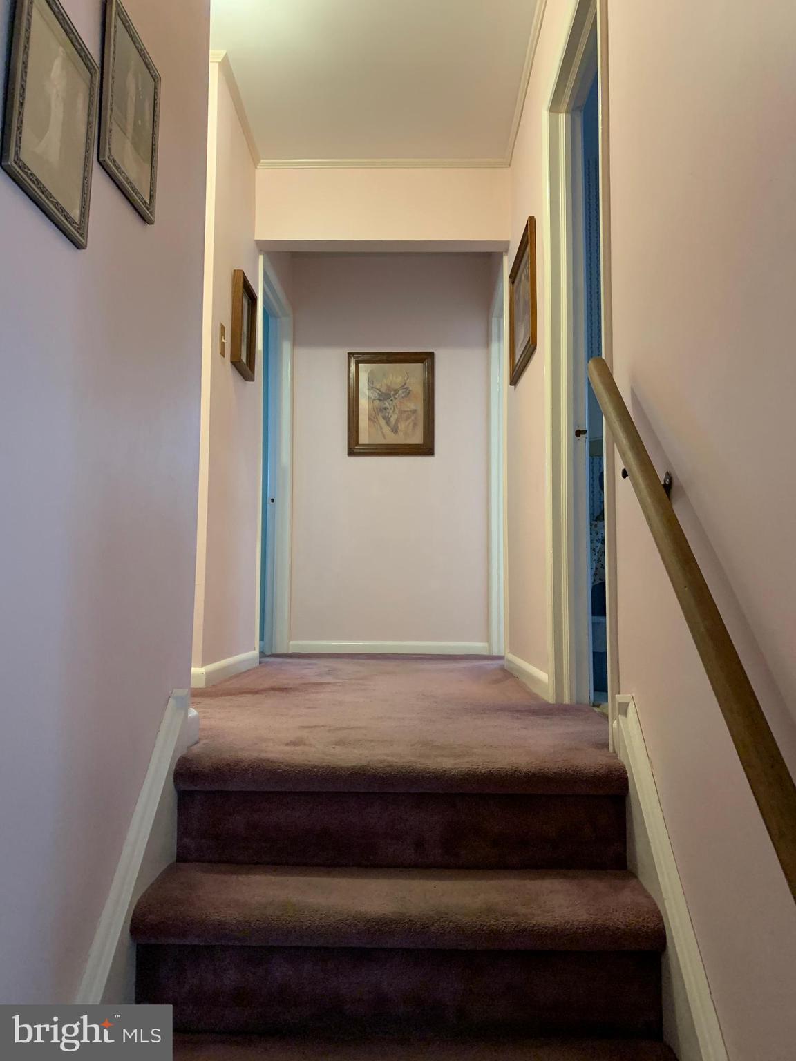 2079 Jenkintown Road Glenside, PA 19038 - Photo 34 of 86 Gallery Image 34