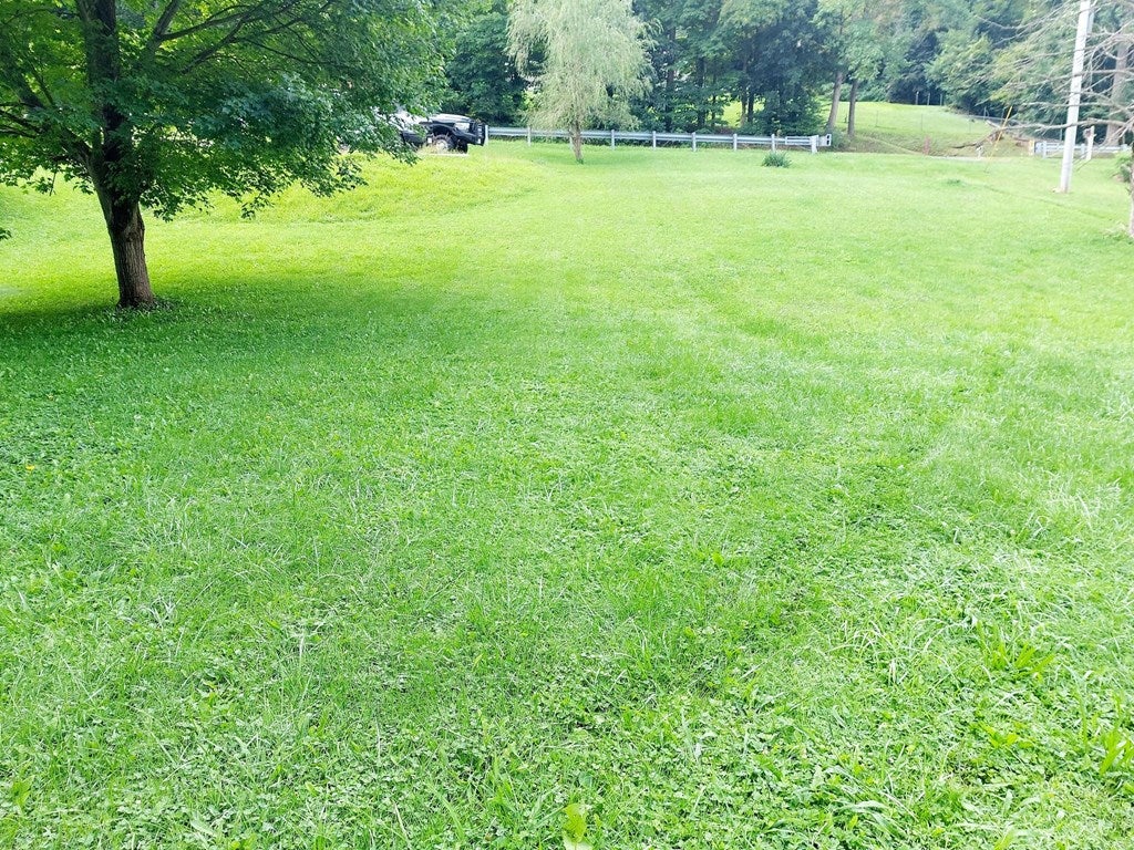 3975 Gratton Road Tazewell, VA 24651 - Photo 12 of 34 Gallery Image 12
