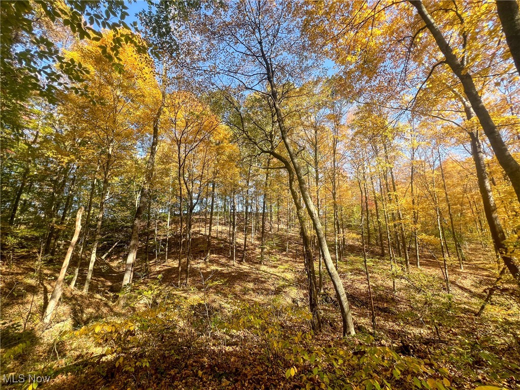 0 Roberts Road Amesville, OH 45711 - Photo 14 of 39 View of landscape