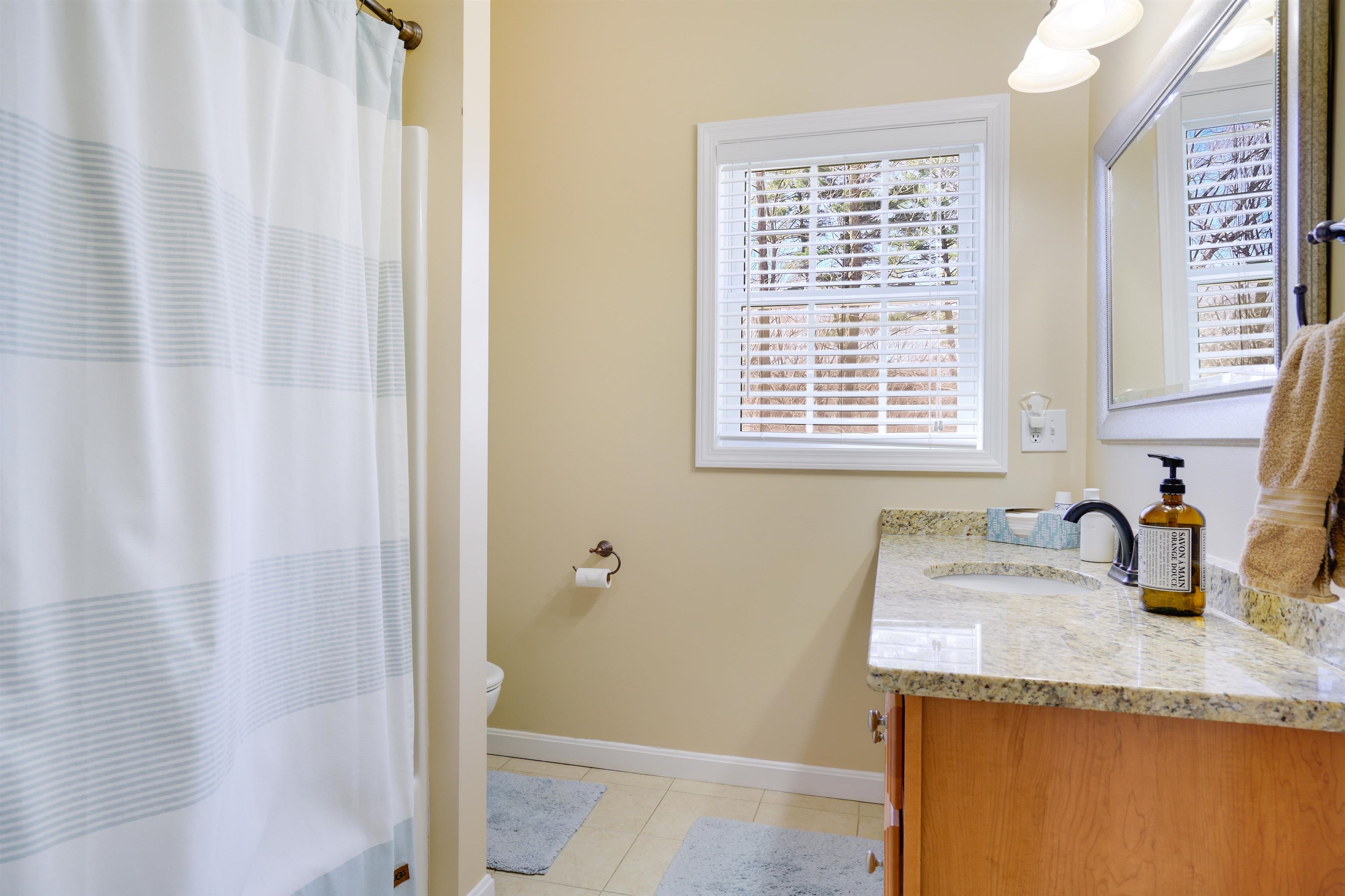 18 Johnson Street Windham, NH 03087 - Photo 23 of 33