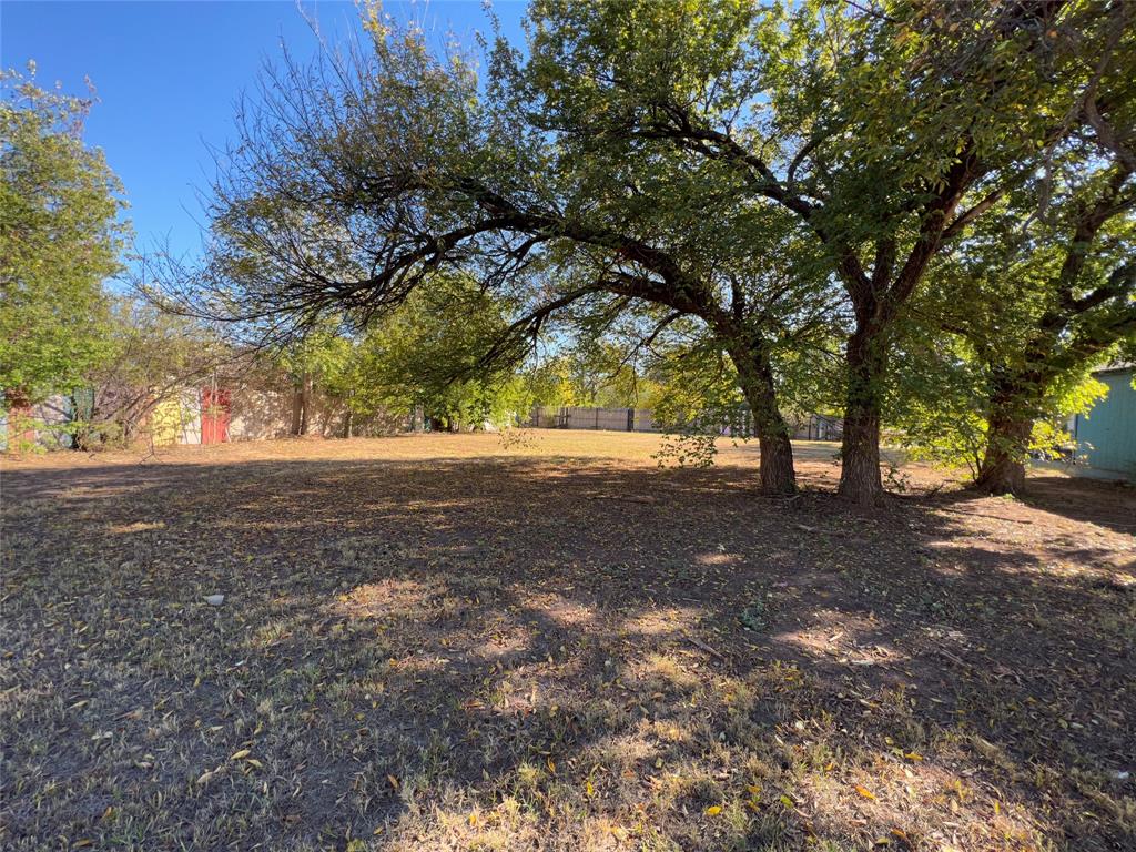 800 Roosevelt Street Wichita Falls, TX 76301 - Photo 29 of 33 These were the only trees mostly all cleared.