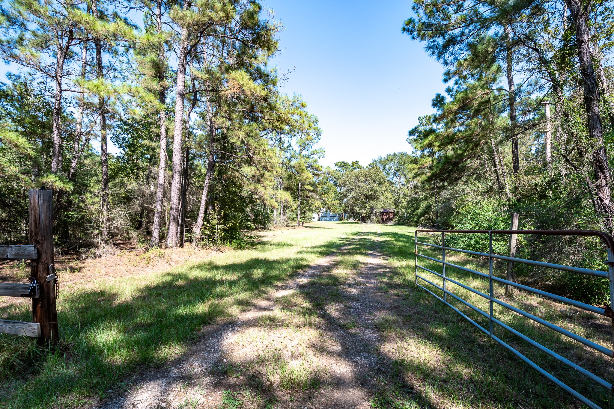 11029 Crockett Martin Road Conroe, TX 77306 - Photo 5 of 8 a view of a yard with trees