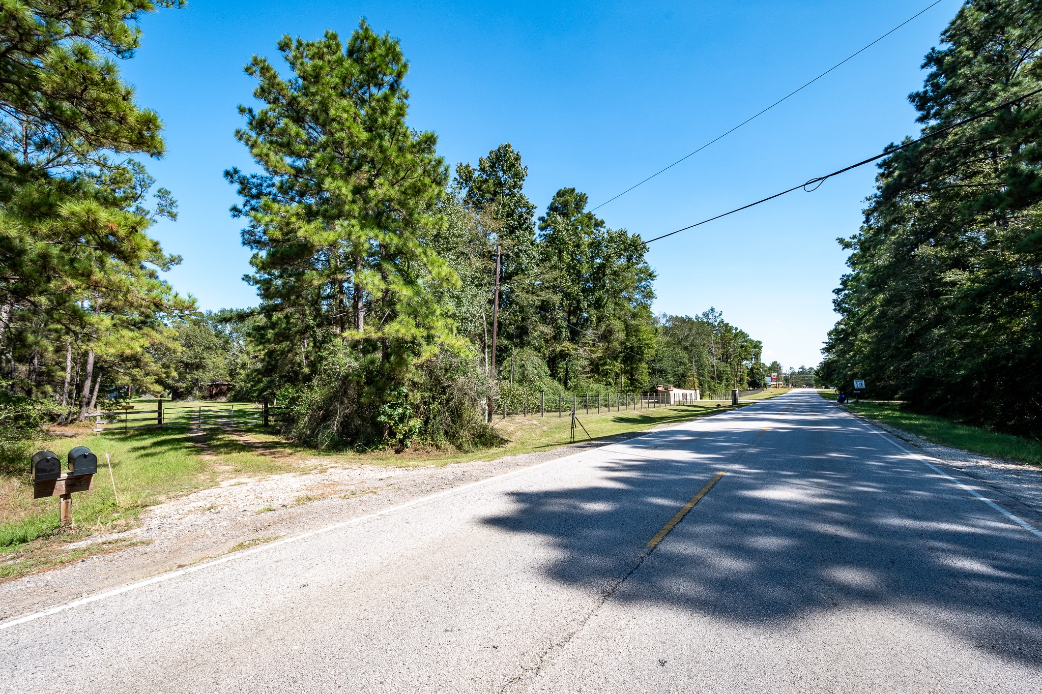 11029 Crockett Martin Road Conroe, TX 77306 - Photo 7 of 8 a view of a yard with large trees