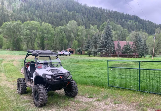 a view of a bunch of trees