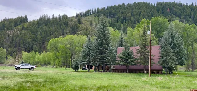 a view of a park with large trees
