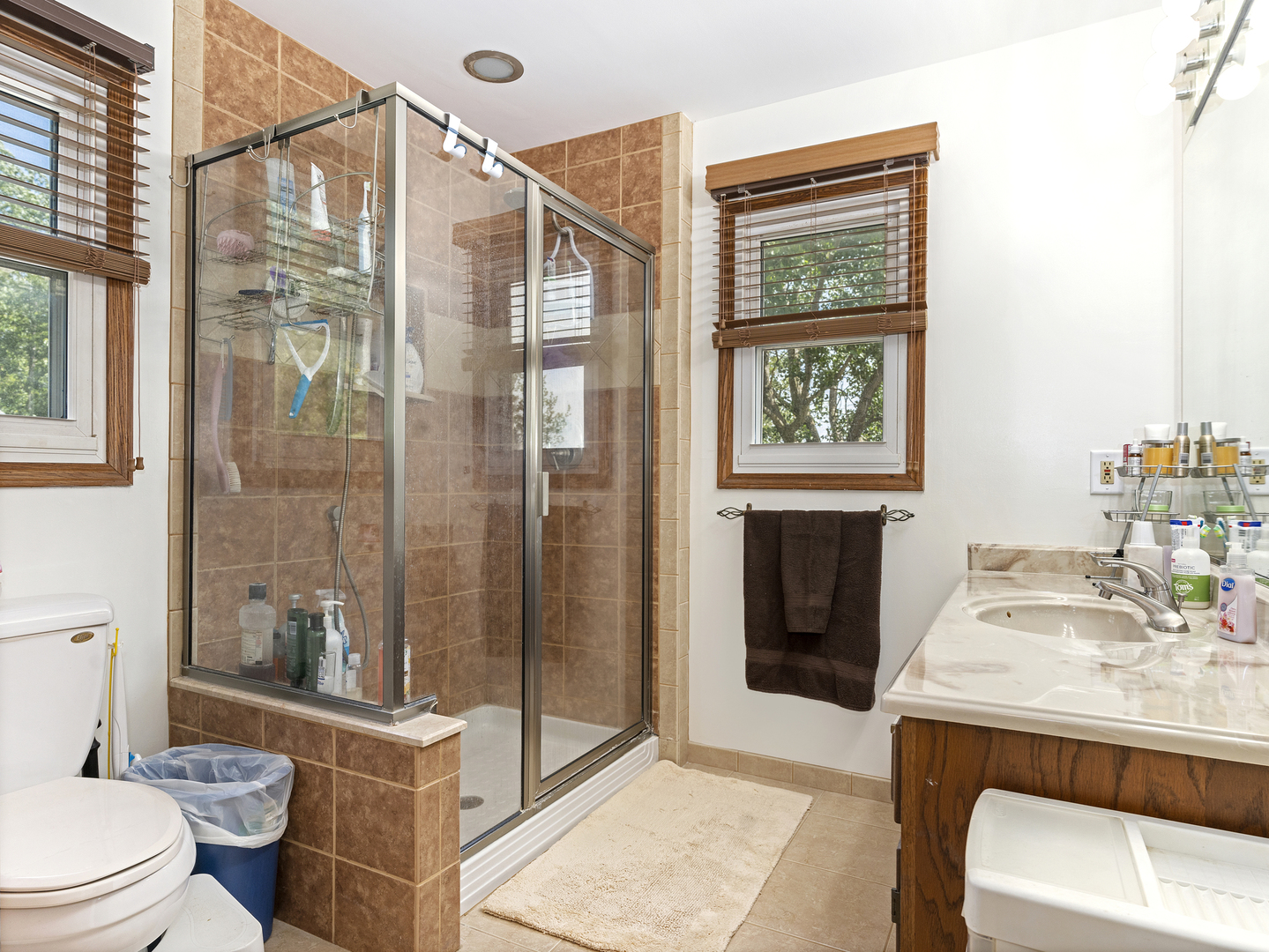 2333 Hess Drive Crest Hill, IL 60403 - Photo 18 of 26 a bathroom with a sink a toilet and shower