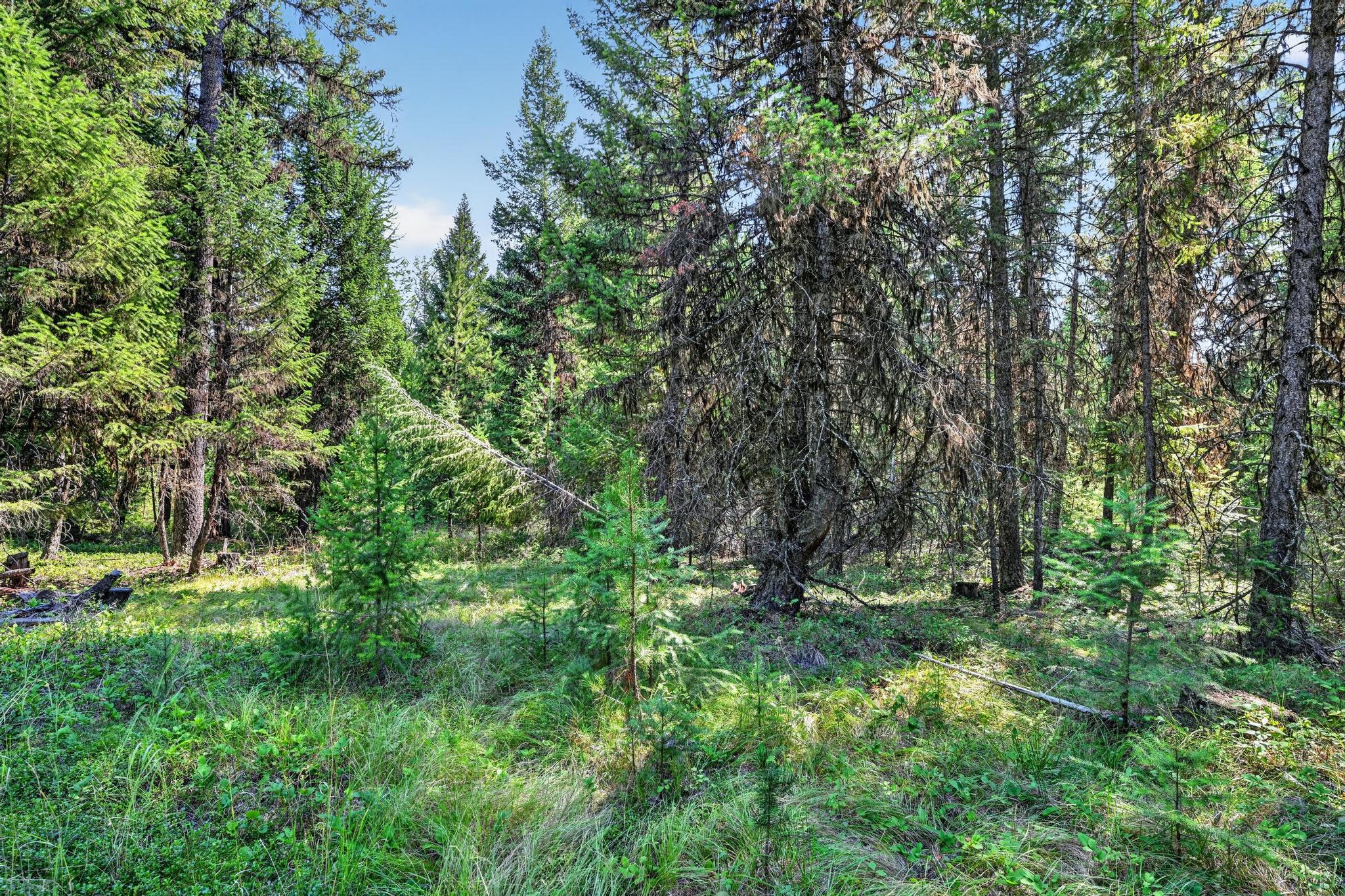 Lot 5 Forest Ridge Road Eureka, MT 59917 - Photo 14 of 23 Gallery Image 14