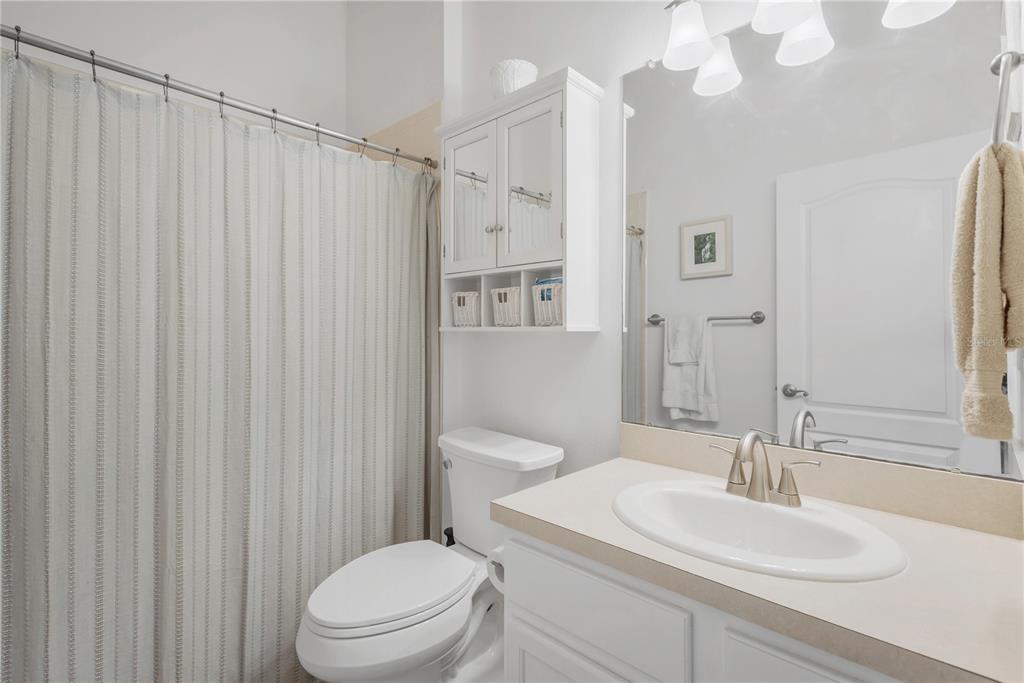 19015 Fern Meadow Loop Lutz, FL 33558 - Photo 29 of 50 a bathroom with a sink a toilet a mirror and shower curtain