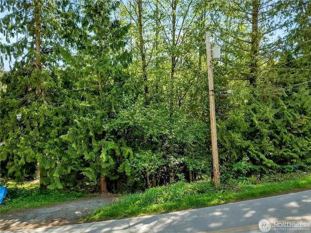 a view of a yard with plants and large trees