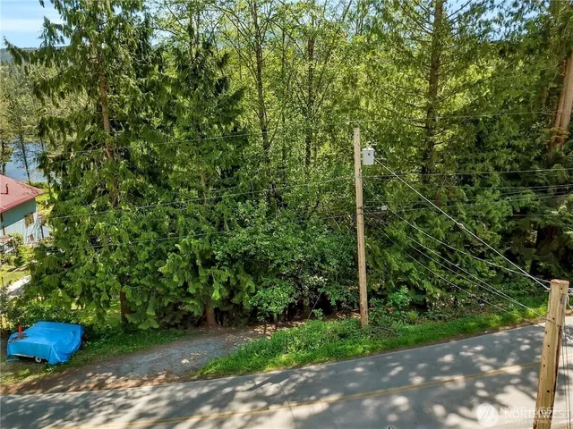 a view of a backyard with potted plants