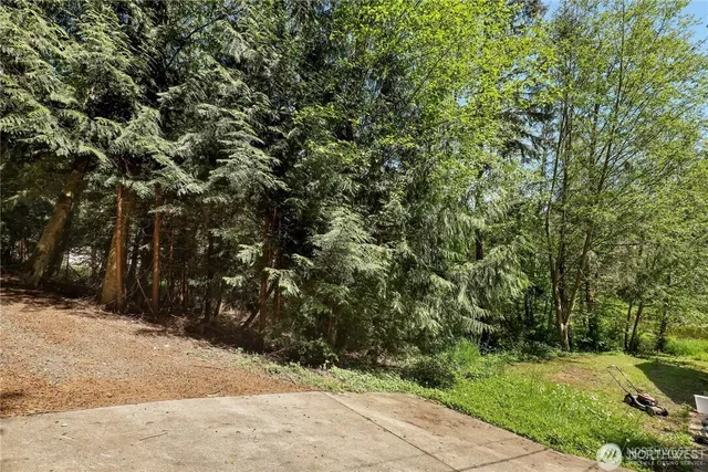 a view of a yard with plants and trees