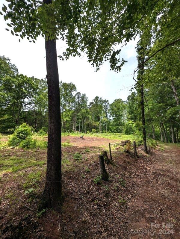 0 Old Concord Road Salisbury, NC 28146 - Photo 2 of 5 Gallery Image 2