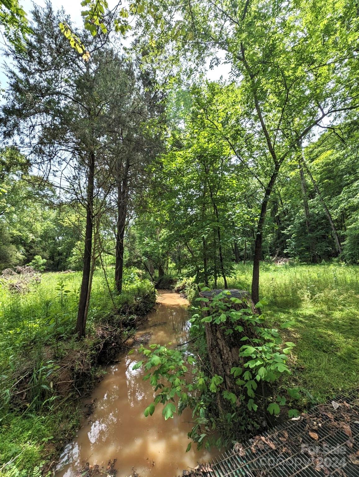 0 Old Concord Road Salisbury, NC 28146 - Photo 4 of 5 Gallery Image 4