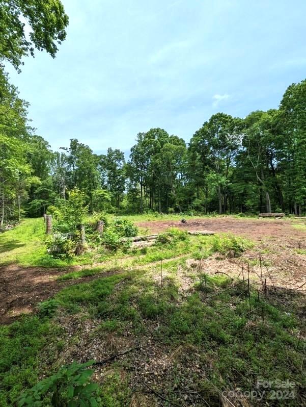 0 Old Concord Road Salisbury, NC 28146 - Photo 5 of 5 Gallery Image 5