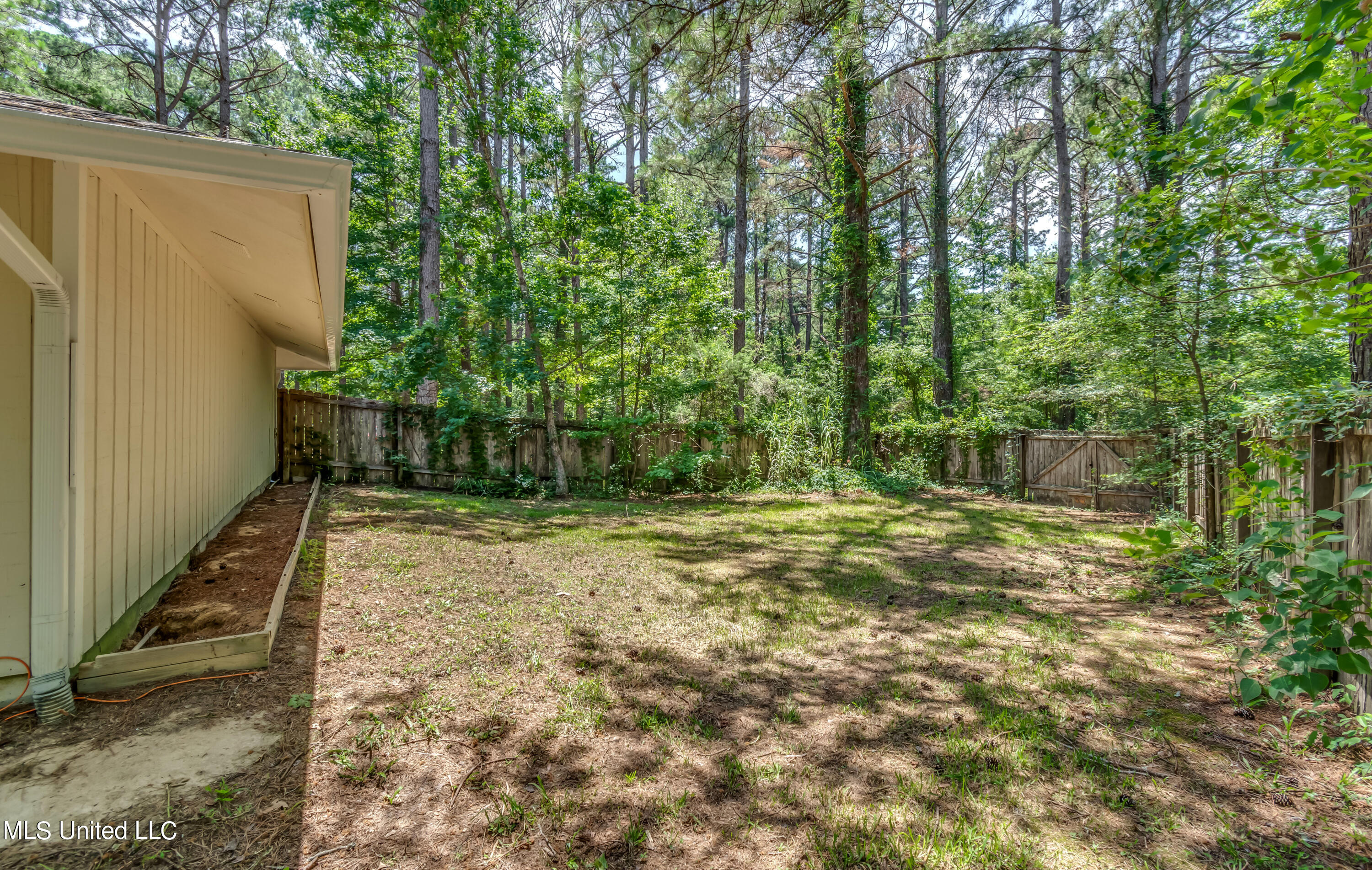 551 Holly Bush Road Brandon, MS 39047 - Photo 56 of 71 551 Holly Bush Rd-50