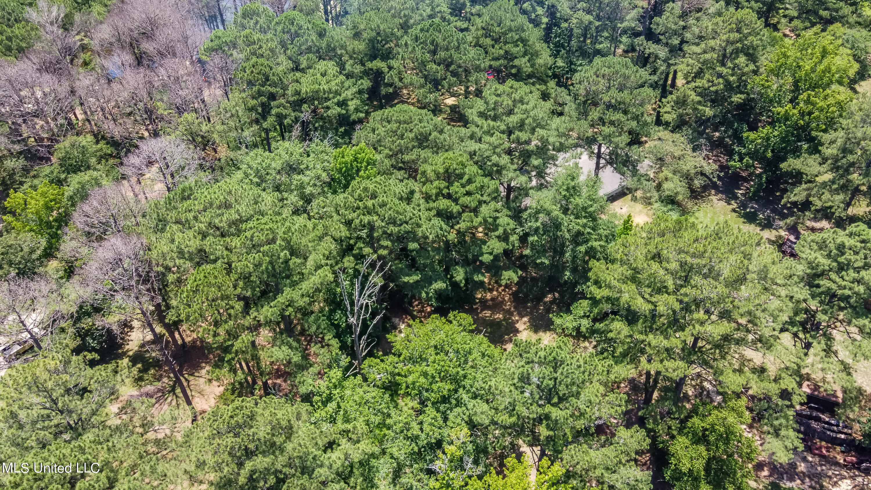551 Holly Bush Road Brandon, MS 39047 - Photo 68 of 71 551 Holly Bush Rd drone-3