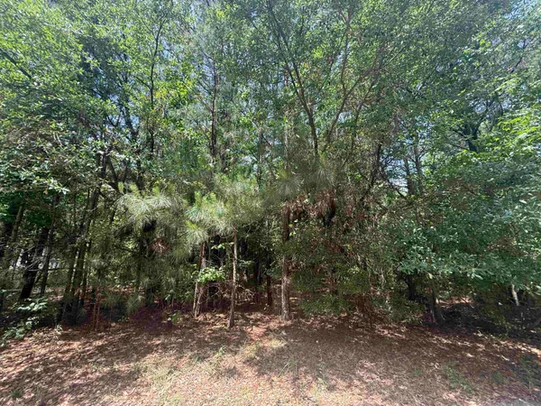 $25,000 | Lot 1 Brantly Road, Andrews, SC 29510