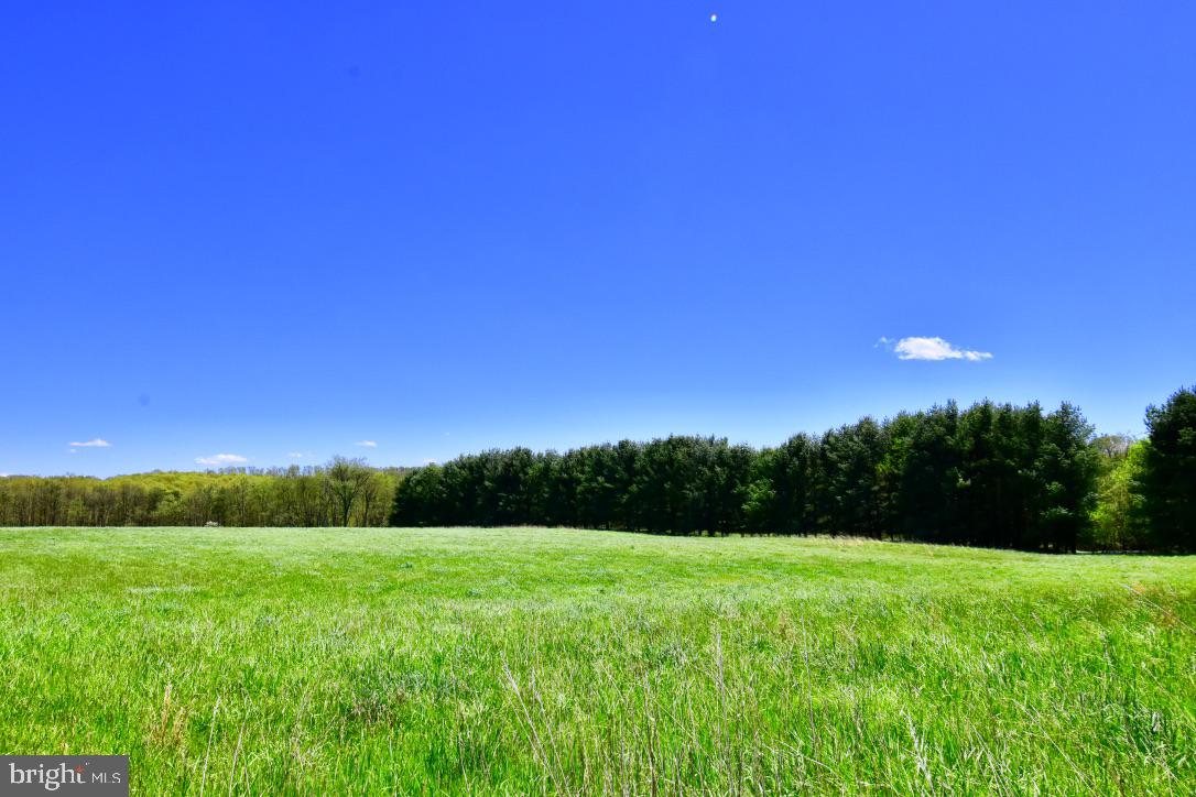 Lot 1 Middle Fork Road Cross Junction, VA 22625 - Photo 3 of 12 View facing into the lot