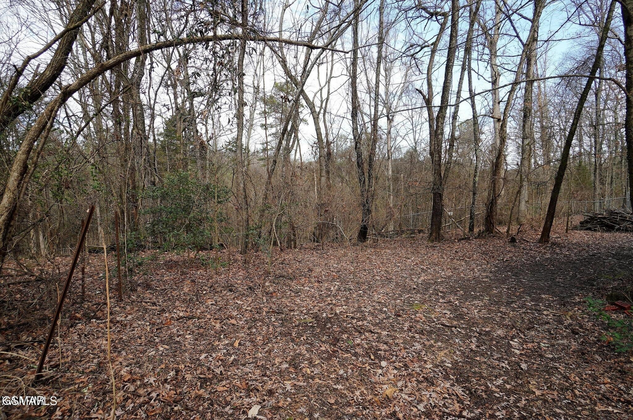 1740 Niles Road Dandridge, TN 37725 - Photo 1 of 8 Gallery Image 1