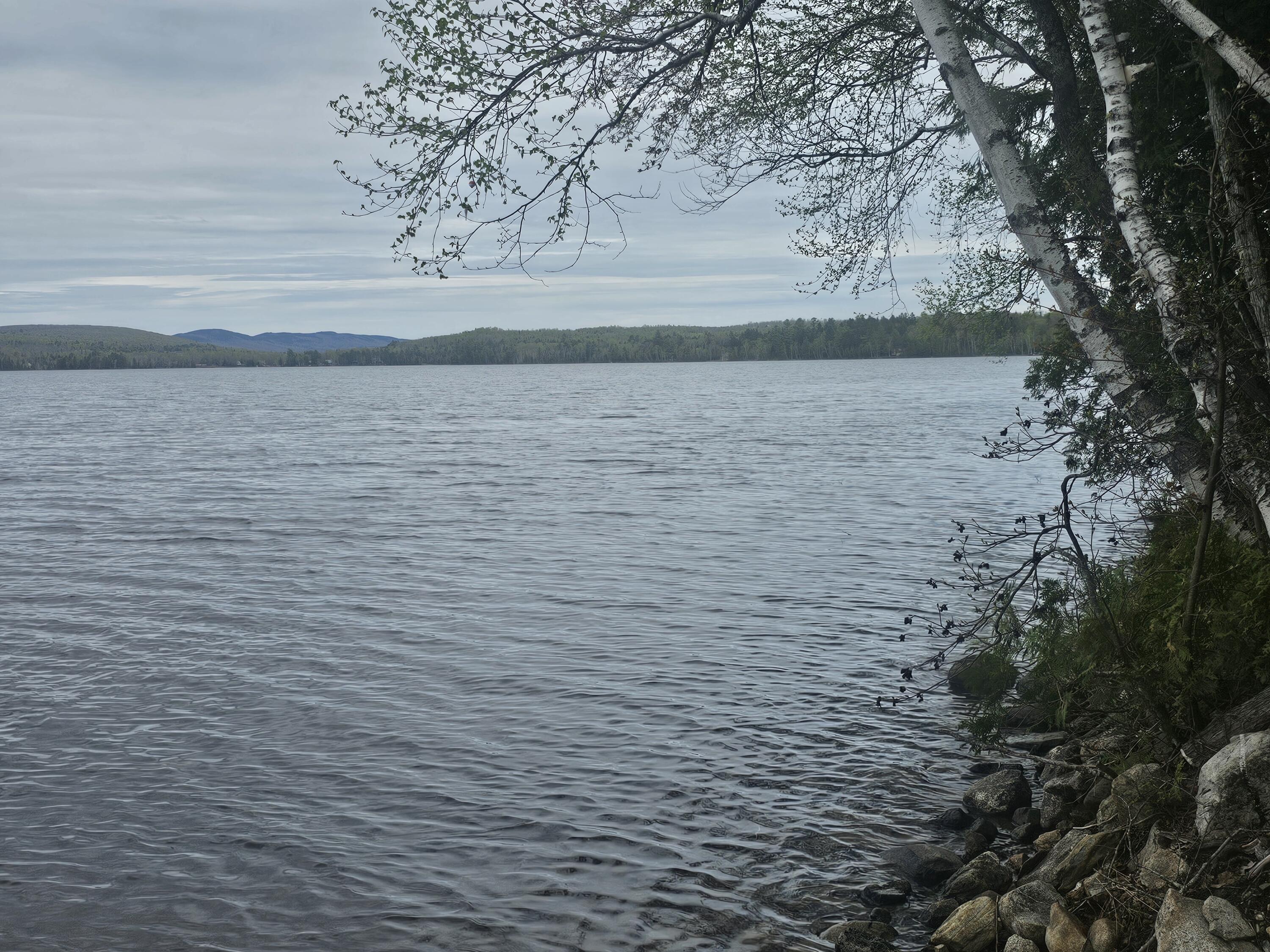 15 Ritchie Lane Patten, ME 04765 - Photo 60 of 81 20260518_123132