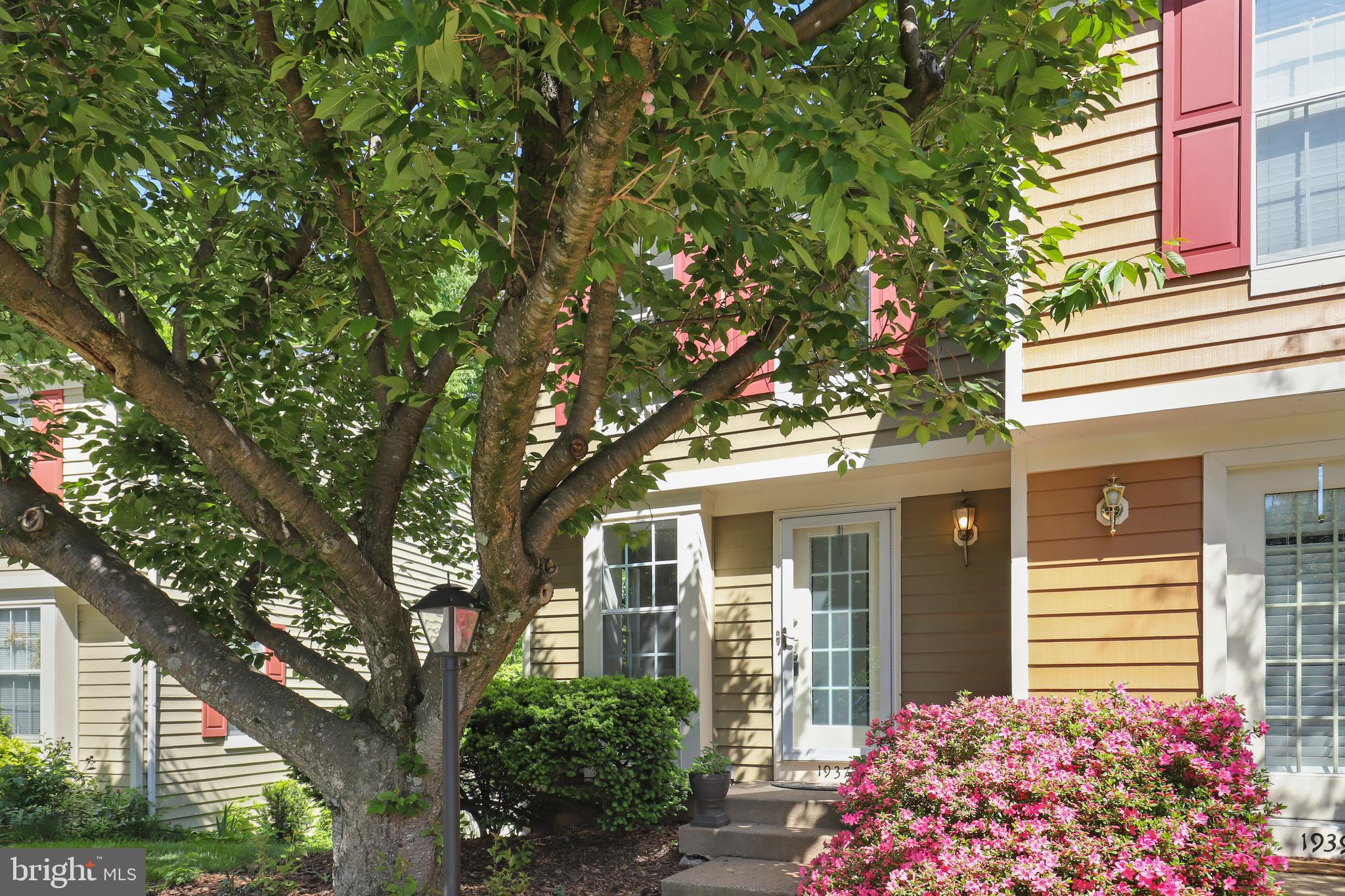 a front view of a house with a tree