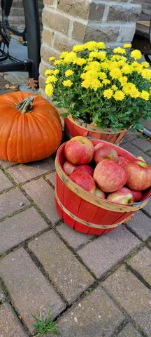 $515,000 | 84335 Jack Pine Lane, Willow River, MN 55795