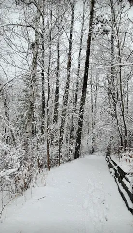 $515,000 | 84335 Jack Pine Lane, Willow River, MN 55795