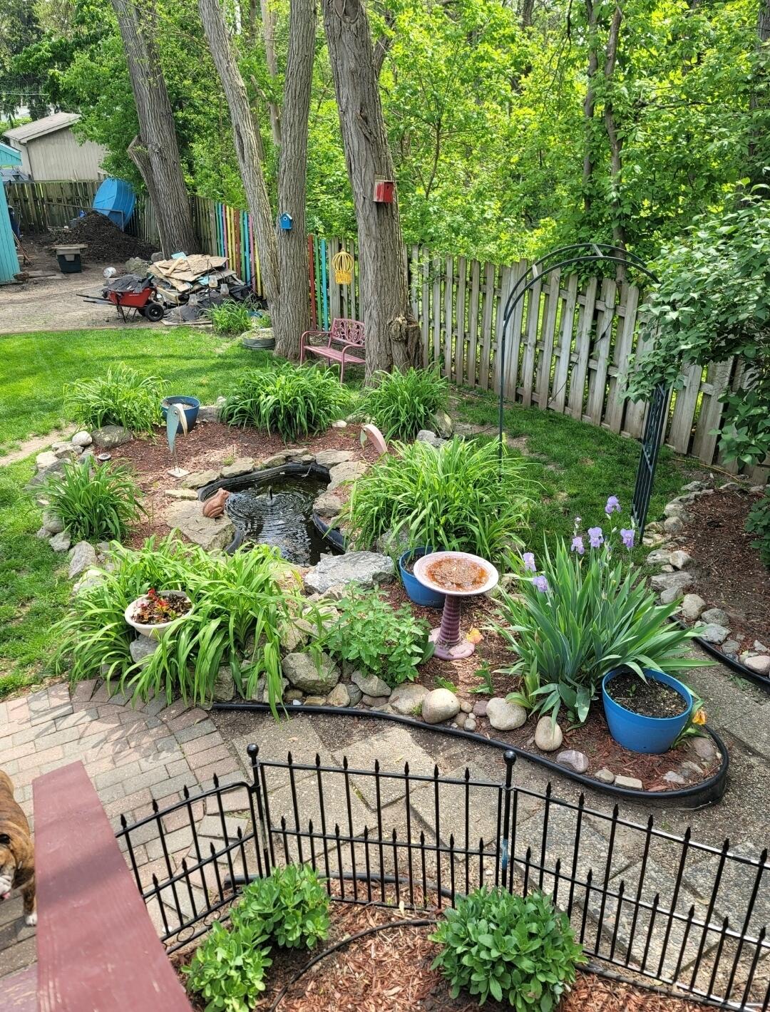 517 West Commerce Street Milford, MI 48381 - Photo 8 of 36 5.5 Spring:Summer yard pic