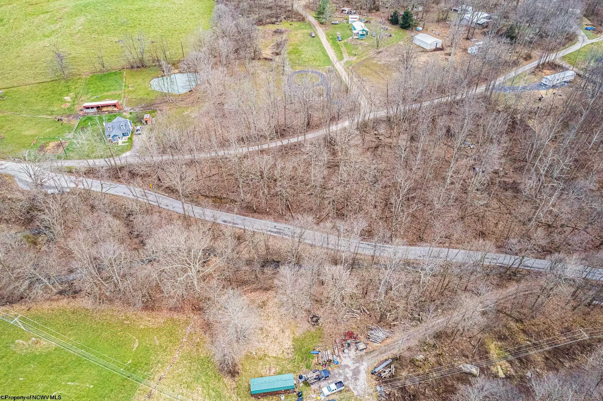 Tbd Coal Lick Road Albright, WV 26519 - Photo 5 of 21 Gallery Image 5