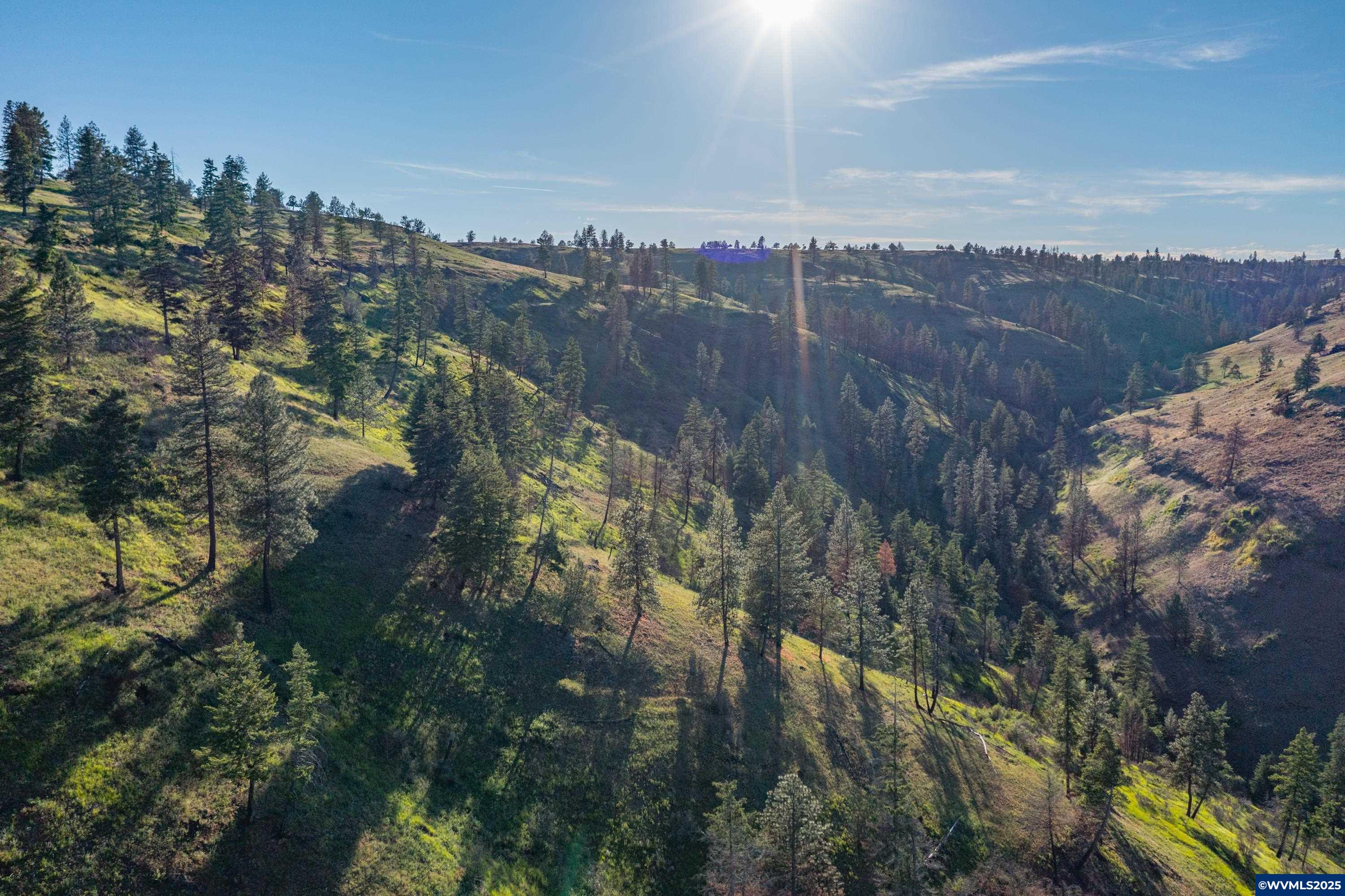 North Fork Road Long Creek, OR 97856 - Photo 8 of 50