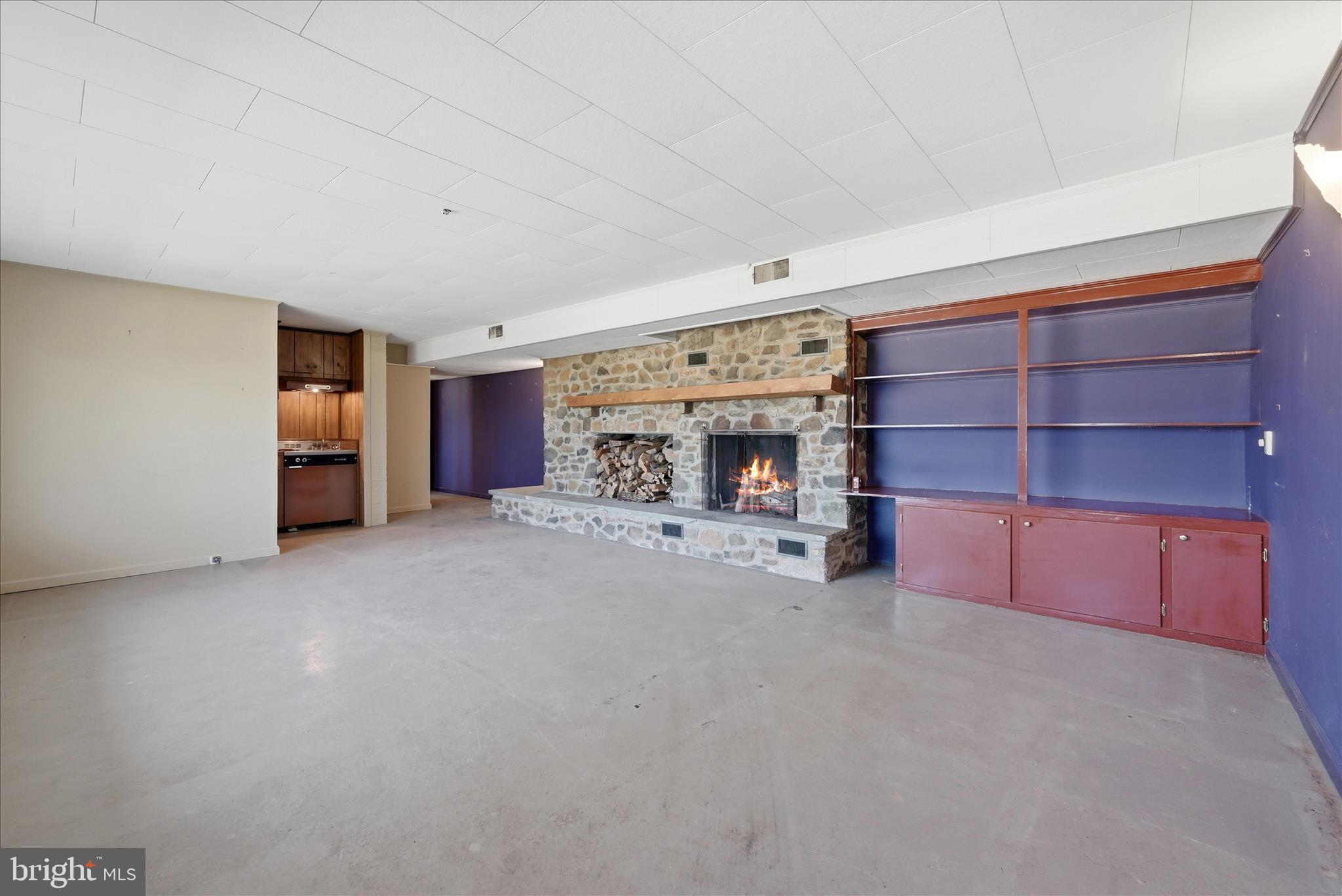2517 5 Points Road Marshall, VA 20115 - Photo 71 of 145 Basement Living Area