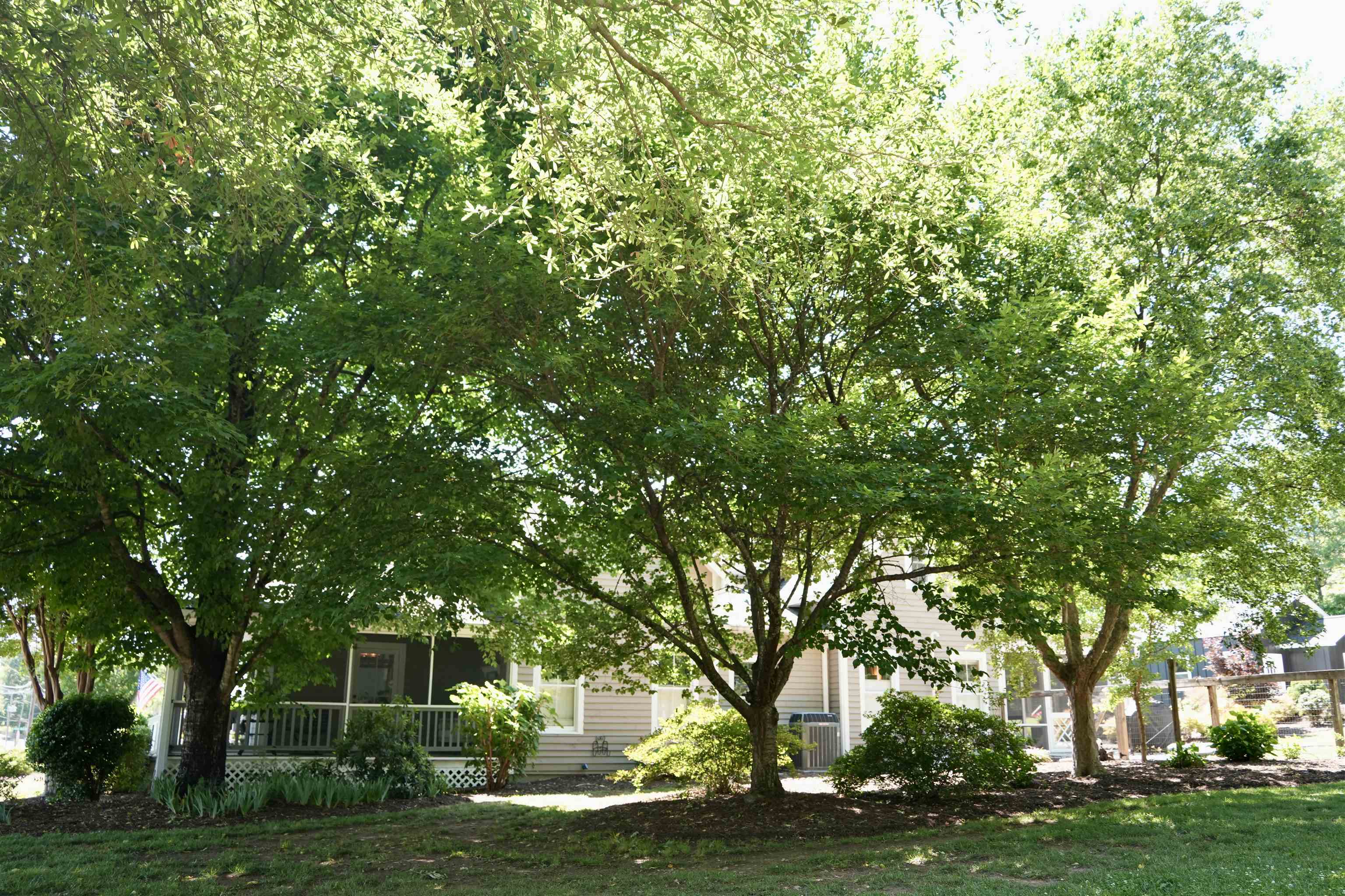 305 South 349 Landrum, SC 29356 - Photo 38 of 45