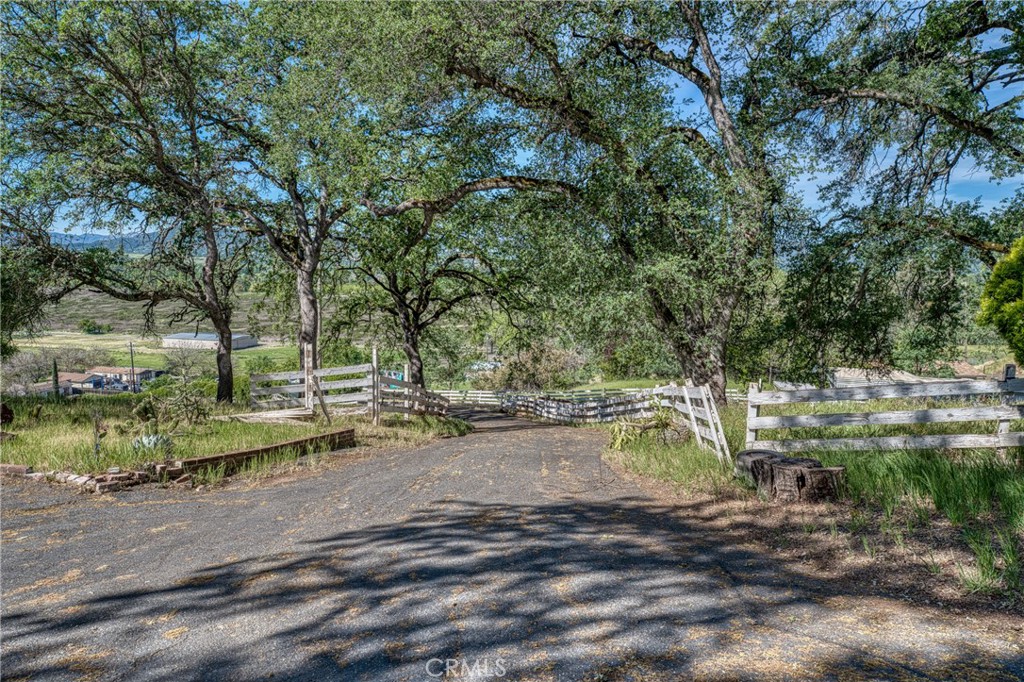 9196 Upper Lake Lucerne Road Upper Lake, CA 95485 - Photo 3 of 75