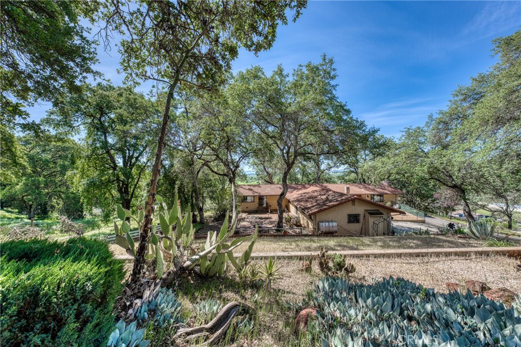 9196 Upper Lake Lucerne Road Upper Lake, CA 95485 - Photo 69 of 75