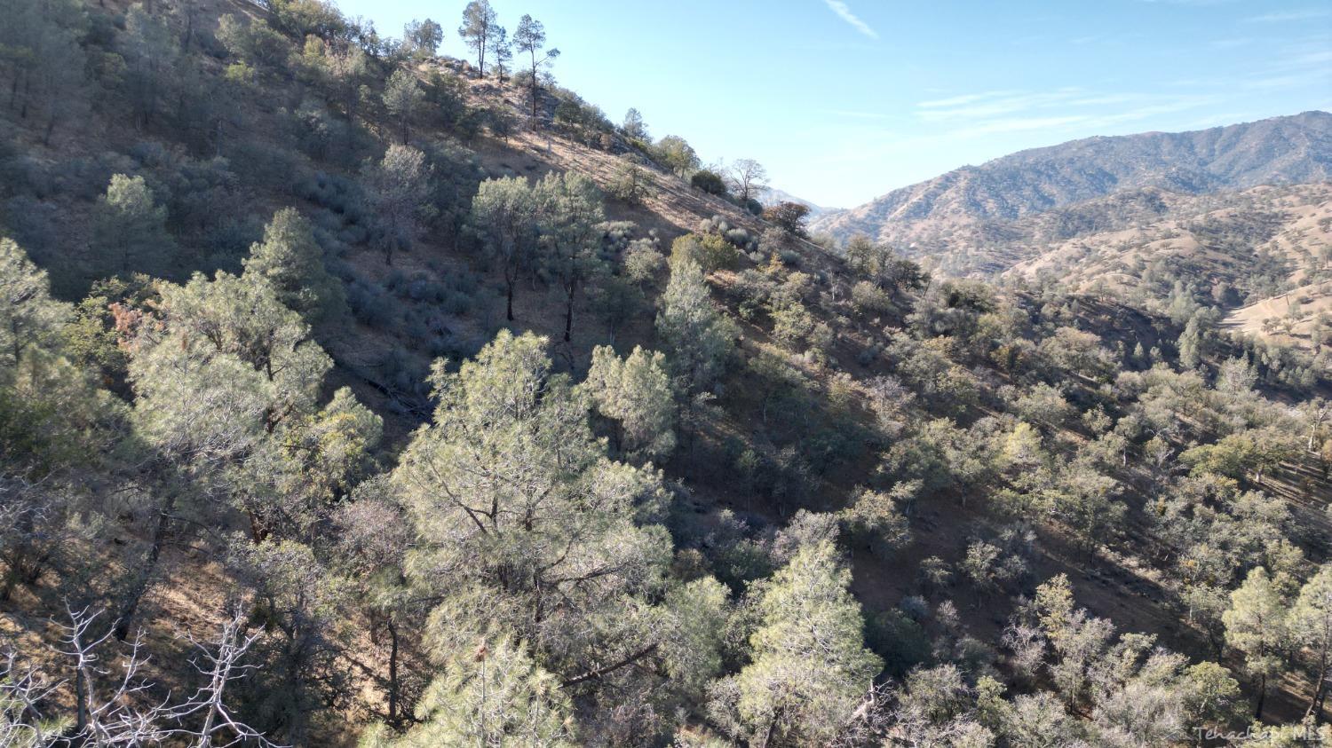 0 Caliente Creek Road Caliente, CA 93518 - Photo 9 of 17 Gallery Image 9