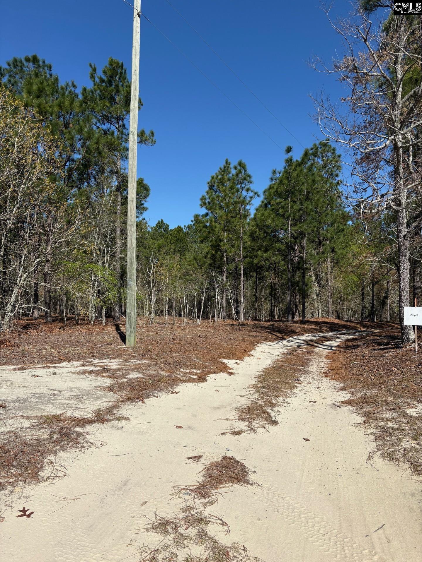 0 East Old Camden Road Hartsville, SC 29550 - Photo 10 of 10