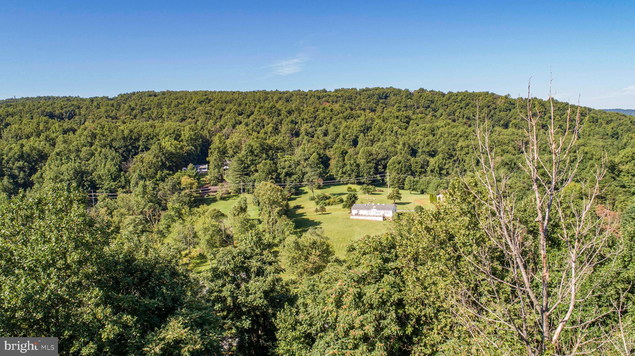 4359 Remount Road Front Royal, VA 22630 - Photo 4 of 50