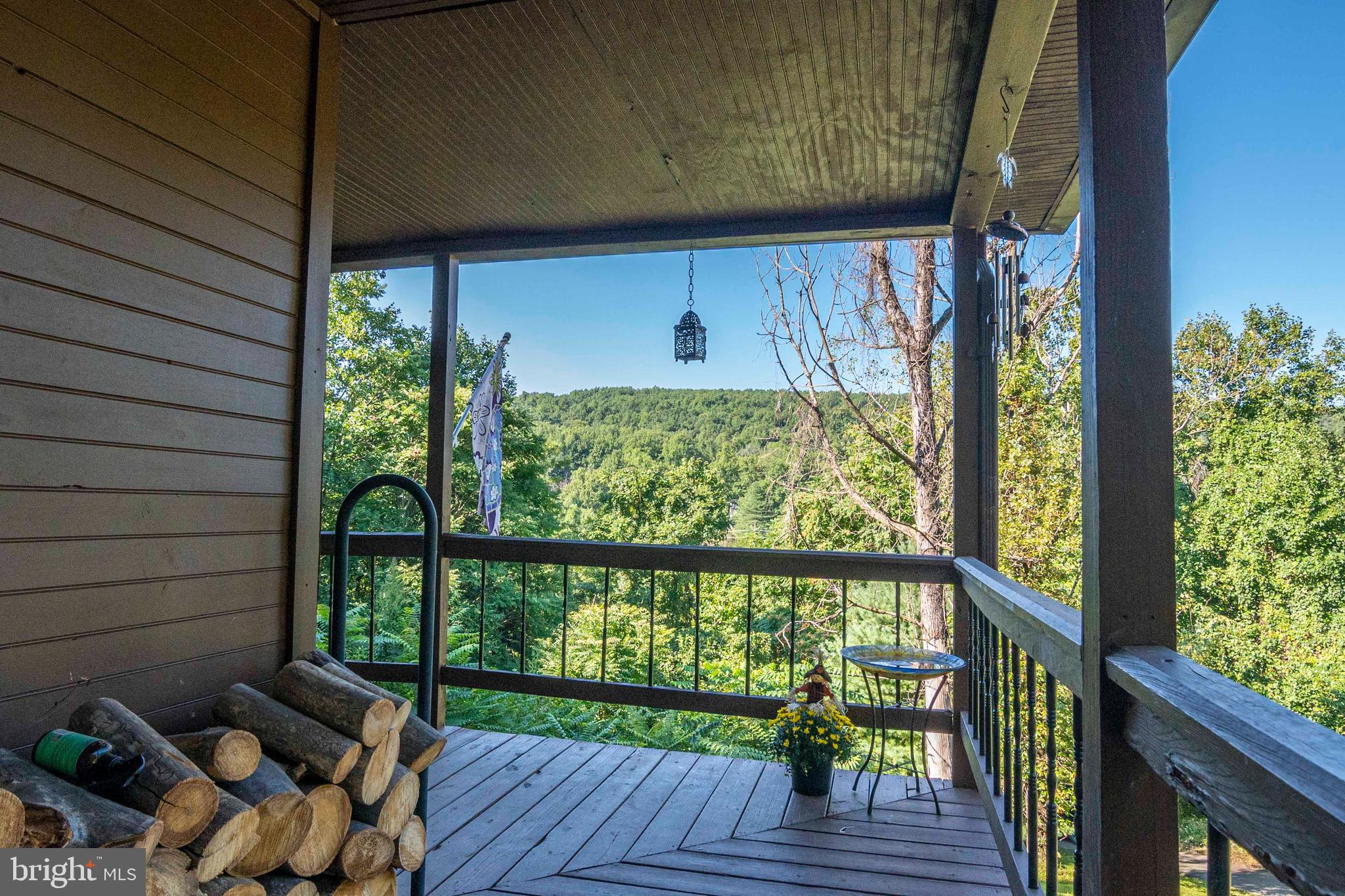 4359 Remount Road Front Royal, VA 22630 - Photo 6 of 50