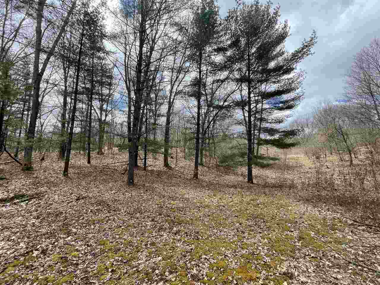 20 East A E Decker Rd Branch Branch, MI 49402 - Photo 18 of 31