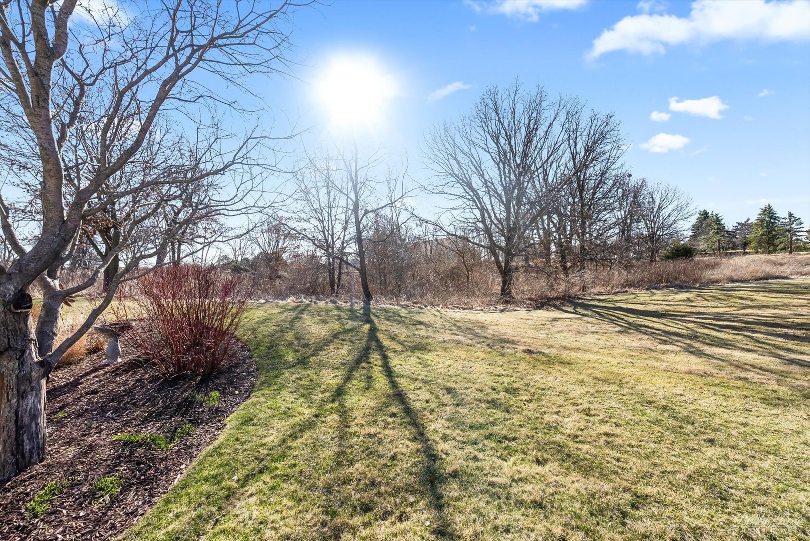 13431 Crestview Drive Huntley, IL 60142 - Photo 32 of 39 a view of yard with tree