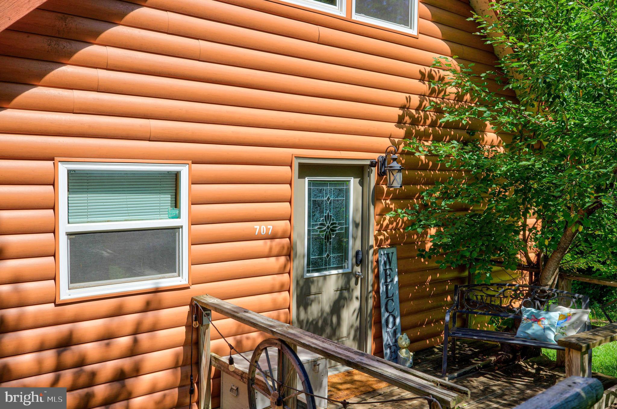 707 Overlook Drive Rileyville, VA 22650 - Photo 51 of 94