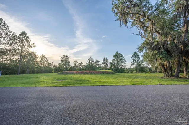 a view of field and trees in the background
